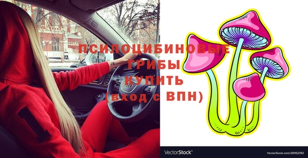 дурь Балахна