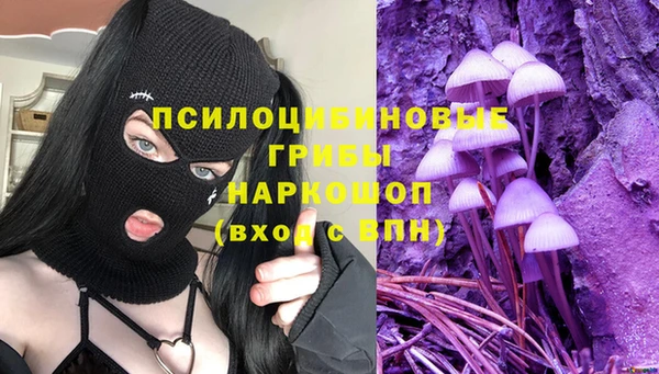 прущие грибы Баксан