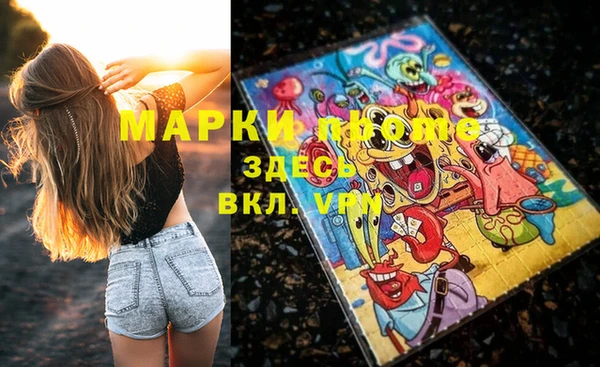 прущие грибы Баксан