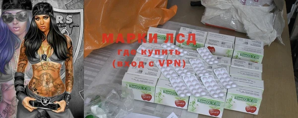 прущие грибы Баксан