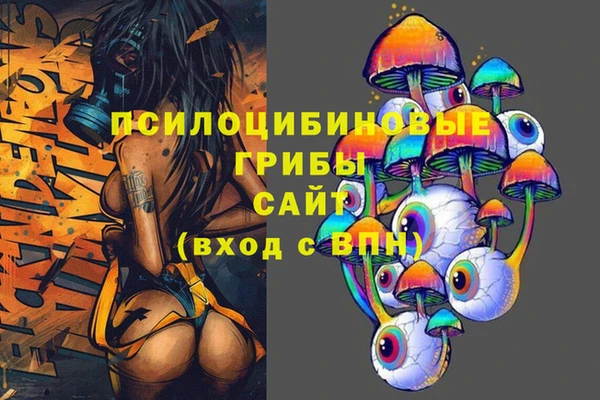 дурь Балахна