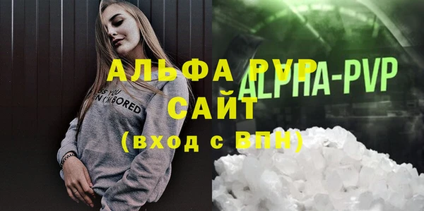 прущие грибы Баксан